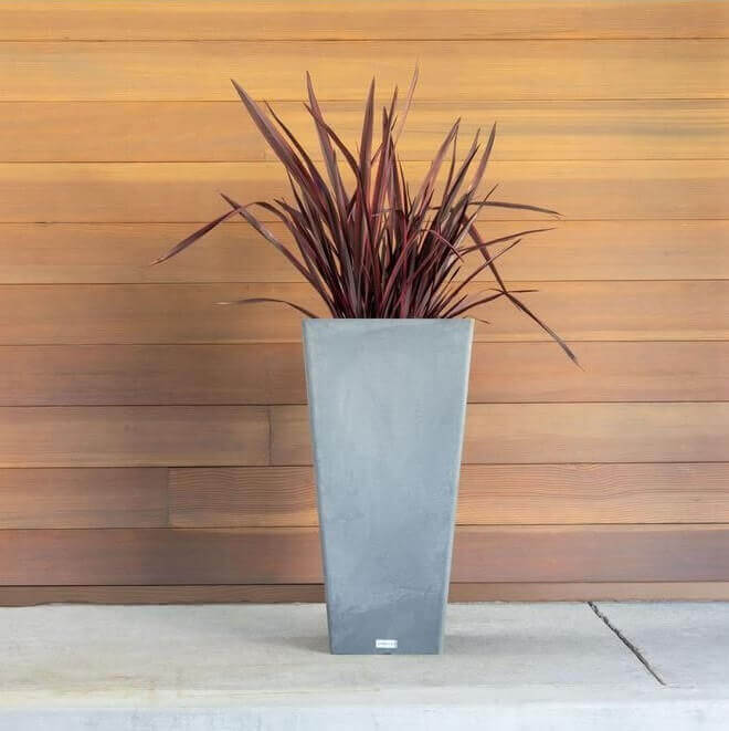 Tall tapered square planter with a modern design, featuring long red foliage against a wooden backdrop.