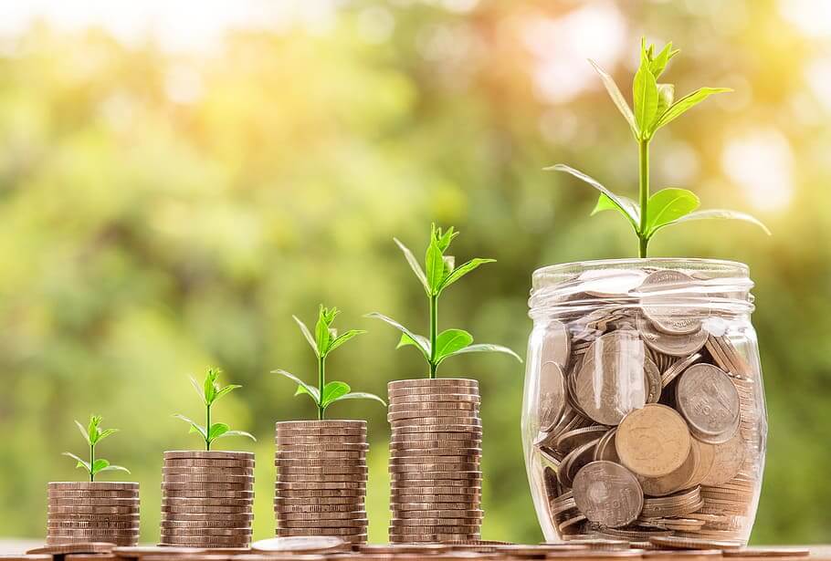 Growing plants on stacks of coins representing building credit score and financial growth.