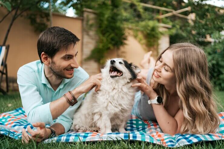 A happy couple playing with their dog on a picnic blanket in a garden setting, showcasing joyful pet care.