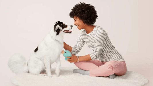 Woman playing with her dog on a cozy rug, showcasing a joyful bond with a pet.