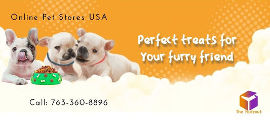 Three puppies with treats highlighting online pet stores in the USA for pet accessories and snacks.