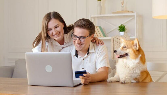 Couple shopping online for pet supplies with dog, highlighting convenience of online pet stores in a cozy home setting.