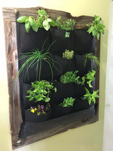 Vertical living wall planter with 12 pockets, showcasing various indoor plants in a waterproof design.