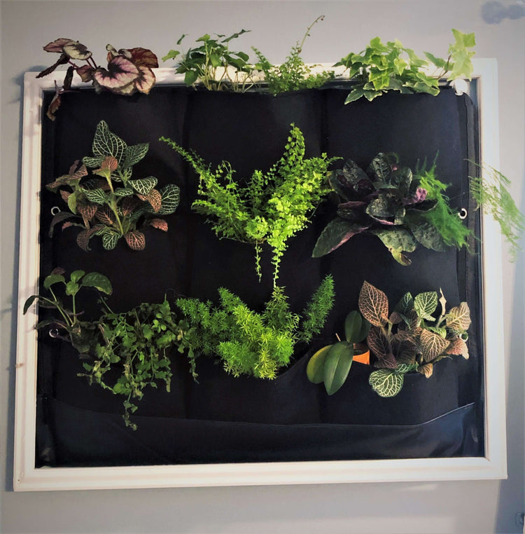 Indoor vertical living wall planter showcasing lush green plants in a waterproof pocket design.