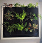 Indoor vertical living wall planter showcasing lush green plants in a waterproof pocket design.