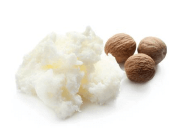 Organic Shea Body Butter No Fragrance 8 & 2 oz. Tubs-2