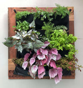 Vertical living wall planter with lush plants in pockets, showcasing eco-friendly design and beautiful greenery.