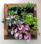 Vertical living wall planter with lush plants in pockets, showcasing eco-friendly design and beautiful greenery.