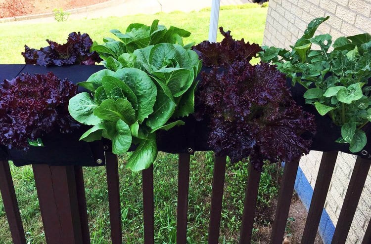 Eco-friendly saddlebag planter with vibrant lettuce and herbs hanging over a railing.