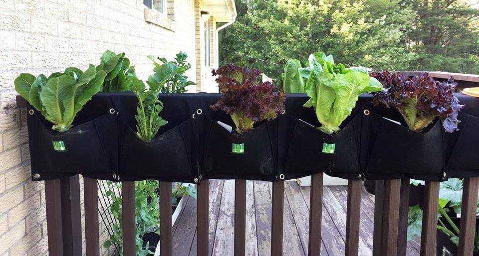 Eco-friendly 2 pocket urban saddlebag planter with various leafy plants on a balcony railing.