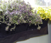 Horizontal waterproof planter with vibrant herbs and foliage, perfect for indoor or outdoor use.