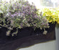 Horizontal waterproof planter with vibrant herbs and foliage, perfect for indoor or outdoor use.
