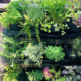 Colorful indoor/outdoor waterproof horizontal planter filled with various herbs and succulents on a wooden wall.