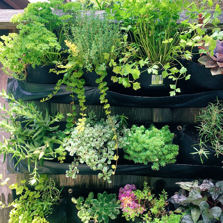 Colorful indoor/outdoor waterproof horizontal planter filled with various herbs and succulents on a wooden wall.
