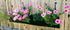 Horizontal waterproof planter with vibrant pink flowers hanging on a wooden fence, perfect for indoor and outdoor use.