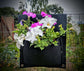 2 pocket eco-friendly planter holding vibrant white and purple flowers on a fence, perfect for vertical gardening.