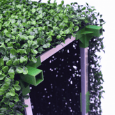 Close-up of dark artificial boxwood hedge with interlocking green connectors, showcasing seamless design and lush foliage.