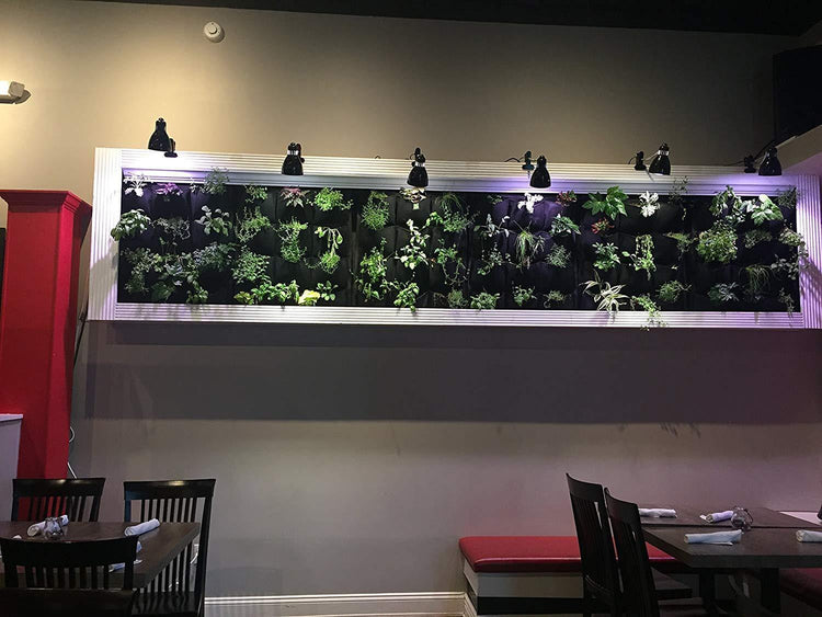 Indoor waterproof vertical planter with lush green plants displayed on a wall, enhancing the restaurant&