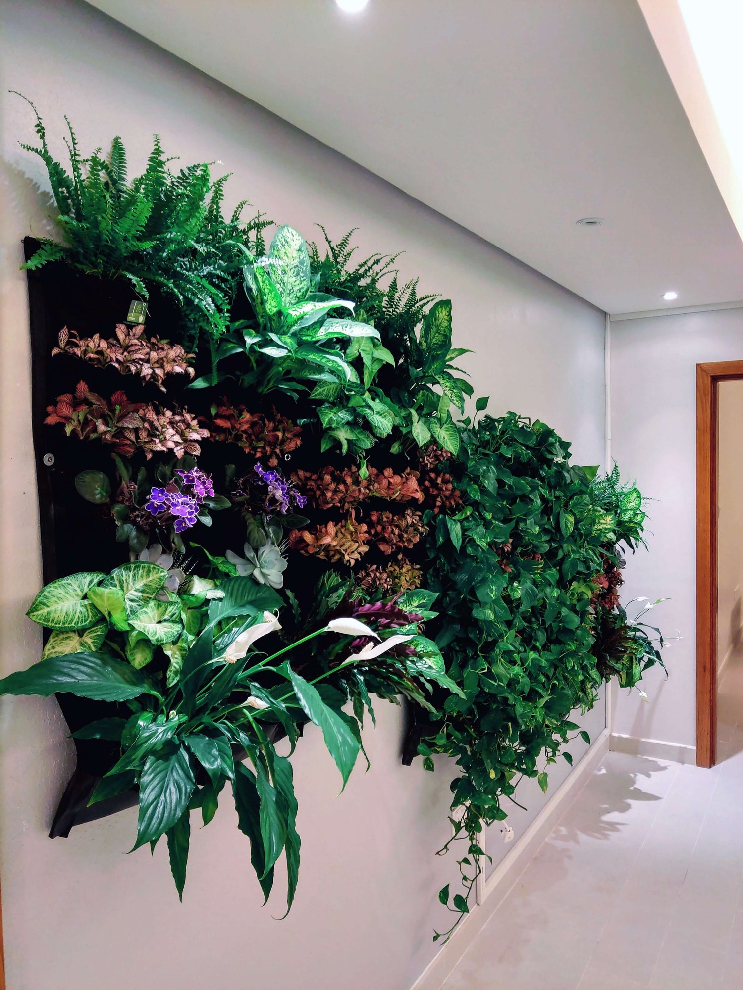 Indoor vertical living wall planter displaying lush greenery and colorful plants, enhancing room aesthetics and air quality.