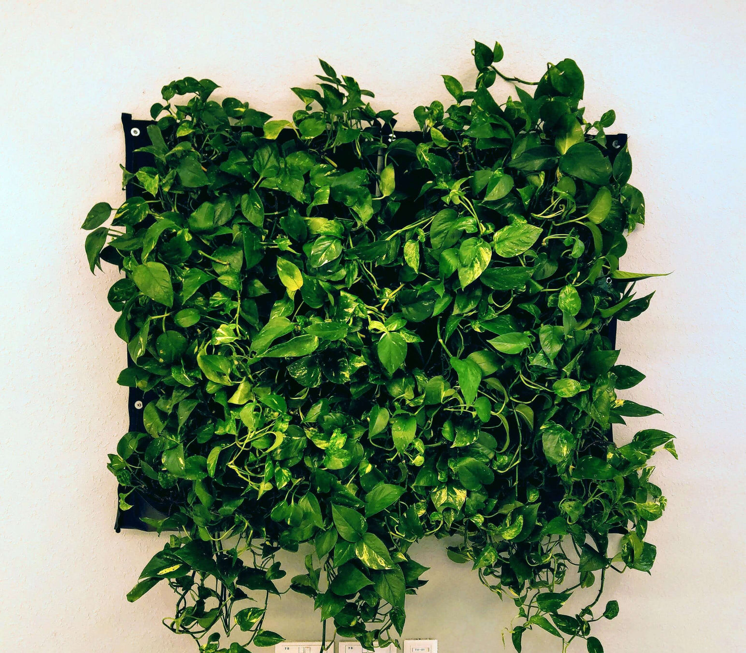 Vertical living wall planter with lush green plants, showcasing eco-friendly and waterproof design for any indoor space.