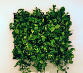 Vertical living wall planter with lush green plants, showcasing eco-friendly and waterproof design for any indoor space.