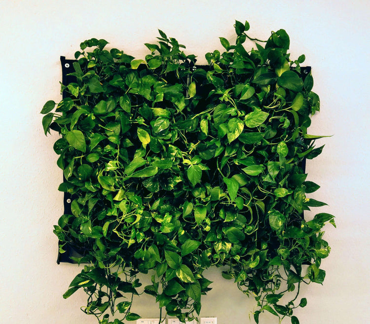 Vertical living wall planter with lush green plants, showcasing eco-friendly and waterproof design for any indoor space.