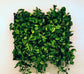 Vertical living wall planter with lush green plants, showcasing eco-friendly and waterproof design for any indoor space.
