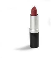 Danyel Cosmetics long-lasting lipstick in a sleek black and silver tube, providing blendable, vivid color.