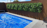 Designer Plants USA Living Walls Luxury Tropical Vista Artificial Vertical Garden 40" x 40" 11SQ FT UV Resistant