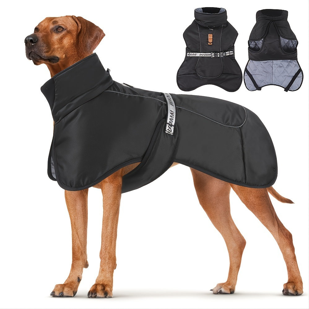 Large dog in a black winter wind-proof calming vest with reflective details, designed for travel and comfort.