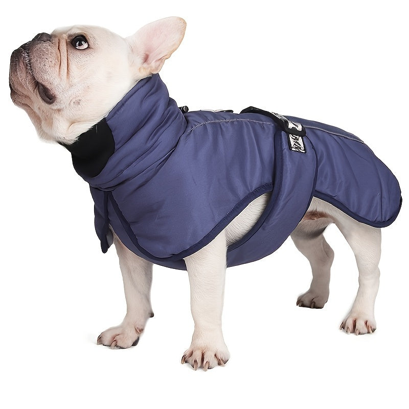 Large dog wearing a blue winter wind-proof reflective calming vest, perfect for travel in cold weather.