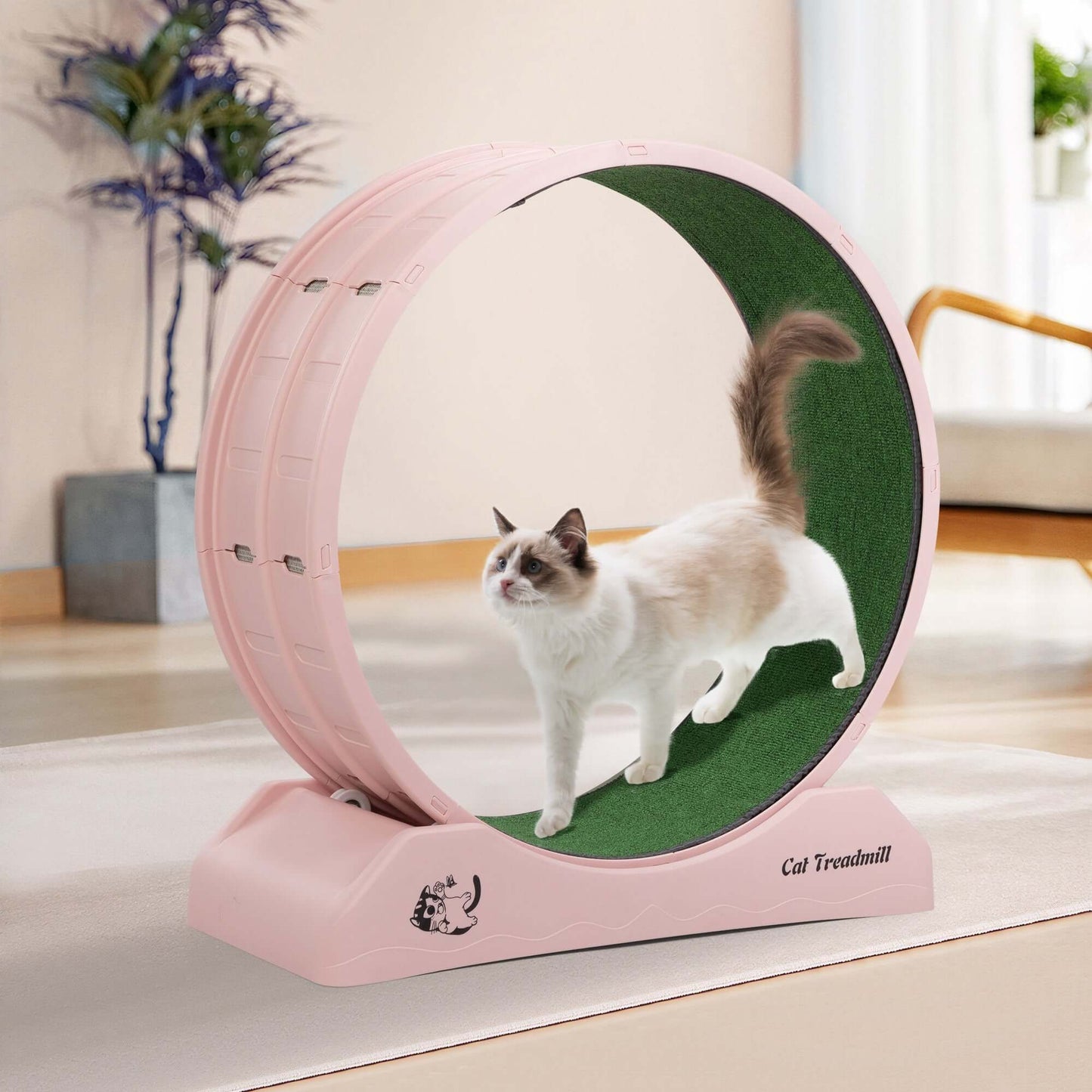 Cat running on a pink treadmill exercise wheel, promoting health and energy for small pets.