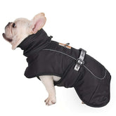 Large dog wearing a winter wind-proof reflective calming vest, designed for travel and comfort.