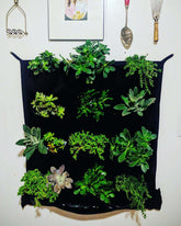 Vertical living wall planter featuring 12 pockets filled with various green succulents, promoting eco-friendly decor.