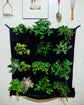 Vertical living wall planter featuring 12 pockets filled with various green succulents, promoting eco-friendly decor.