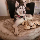 Laifug Faux Fur Dog Bed-5