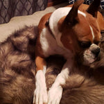 Laifug Faux Fur Dog Bed-6