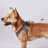 INSTACHEW Harnesses Medium Instachew PETKIT Air Pro Dog Harness