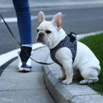 INSTACHEW Vest Harnesses Instachew PETKIT Air Fly Dog Harness
