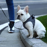 INSTACHEW Vest Harnesses Instachew PETKIT Air Fly Dog Harness
