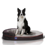 LaiFug dog bed Large(45"*30"*8") Laifug Oval Dog Bed