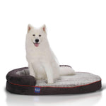 LaiFug dog bed X-Large(54"*36"*9") Laifug Oval Dog Bed