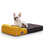 LaiFug memory foam dog bed 34"*22"*7" / Grey&Yellow Laifug Single Pillow Dog Bed