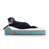 LaiFug memory foam dog bed 46"*28"*8" / Green And White Plaid Laifug Single Pillow Dog Bed