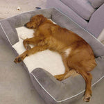LaiFug memory foam dog bed Laifug Large Dog Sofa