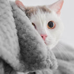 LaiFug pet blanket Laifug Fleece Warm Pet Blanket